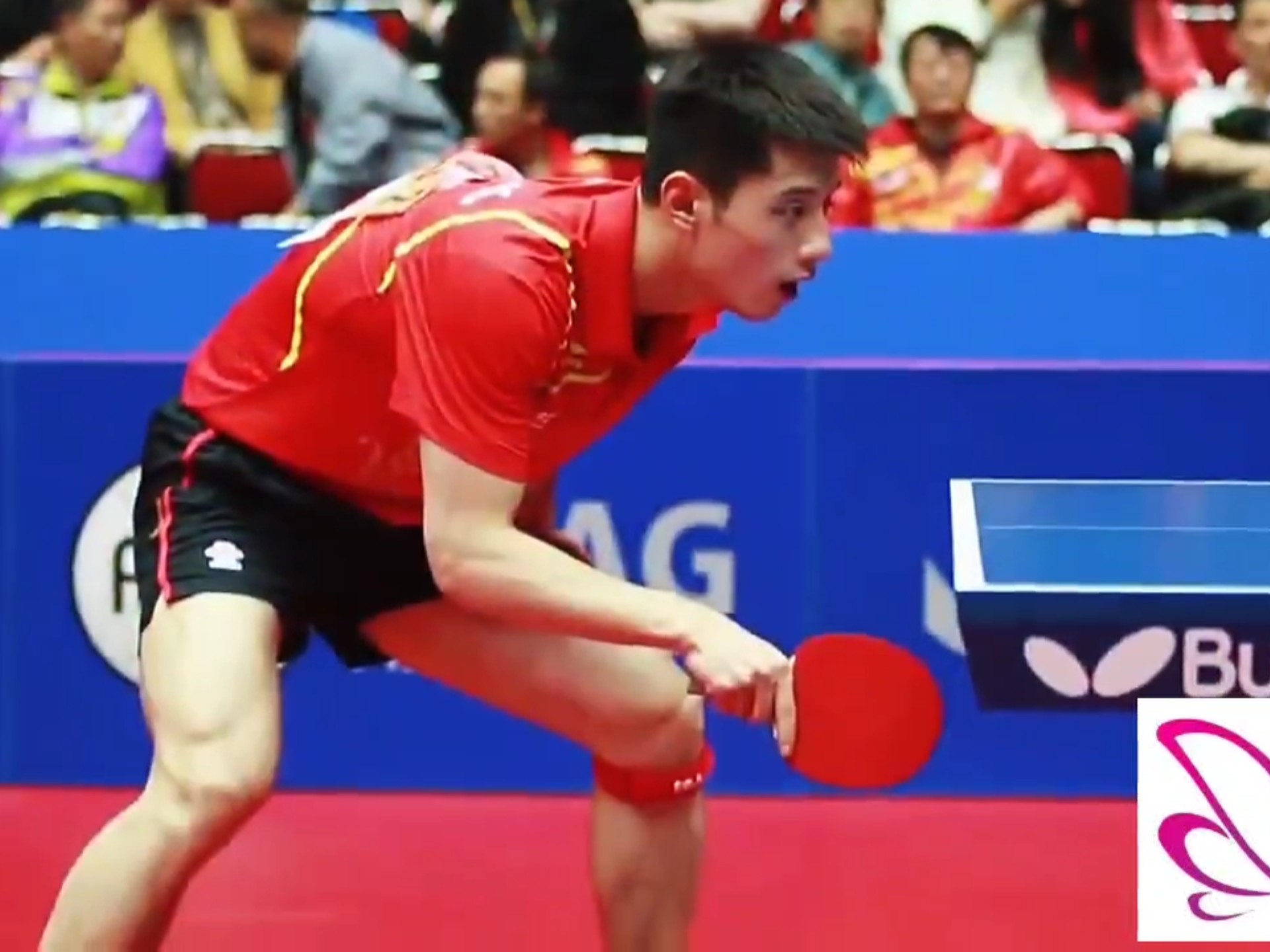 中国乒乓球队碾压法国乒乓球队，张继科统治全场