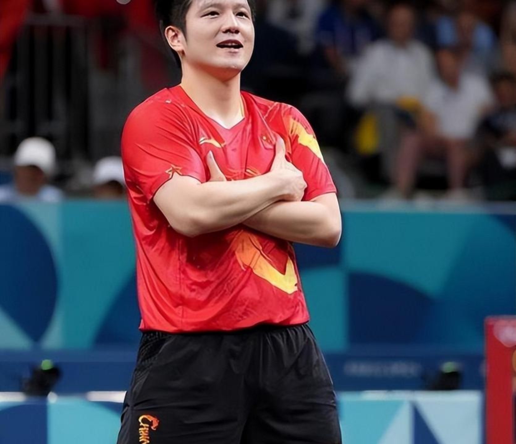 奥地利乒乓球队绝杀波兰乒乓球队，樊振东打破历史纪录的简单介绍