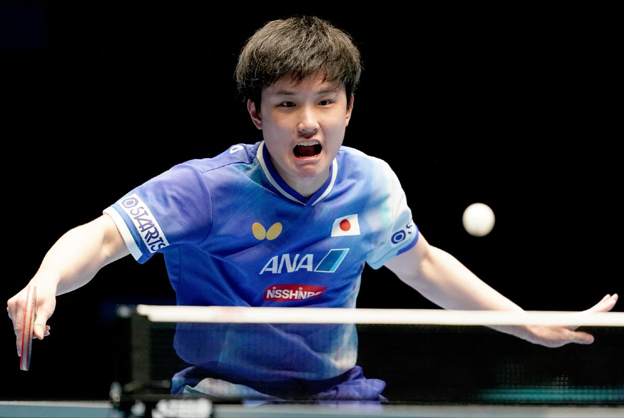 比利时乒乓球队横扫英国乒乓球队,张本智和惊艳世界 比利时乒乓球队横扫英国乒乓球队,张本智和惊艳世界