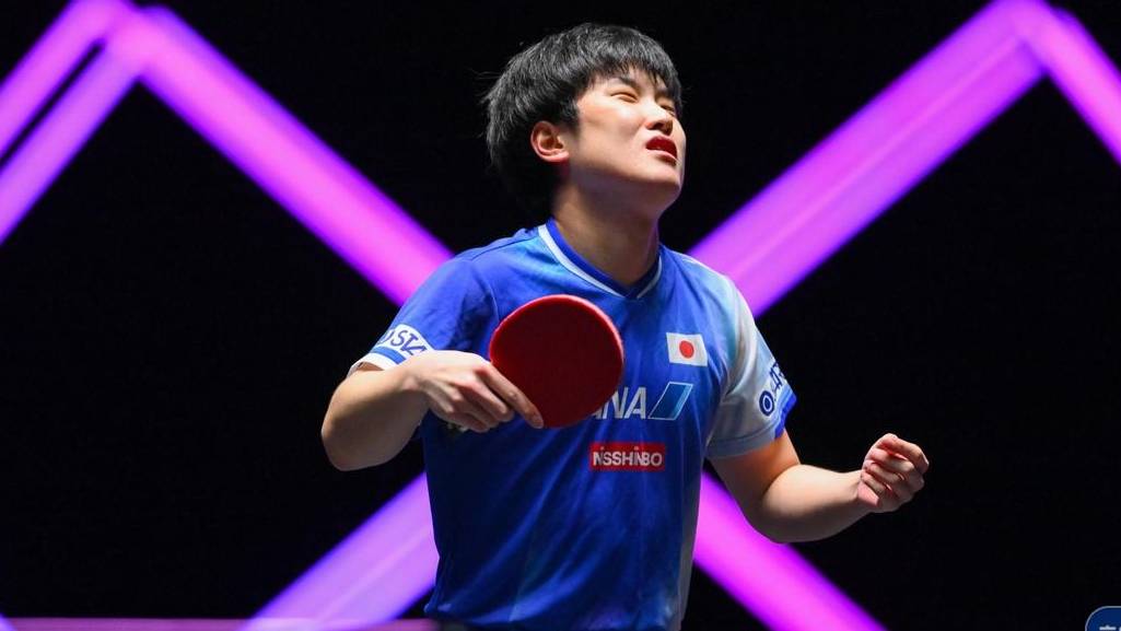 比利时乒乓球队横扫英国乒乓球队,张本智和惊艳世界 比利时乒乓球队横扫英国乒乓球队,张本智和惊艳世界