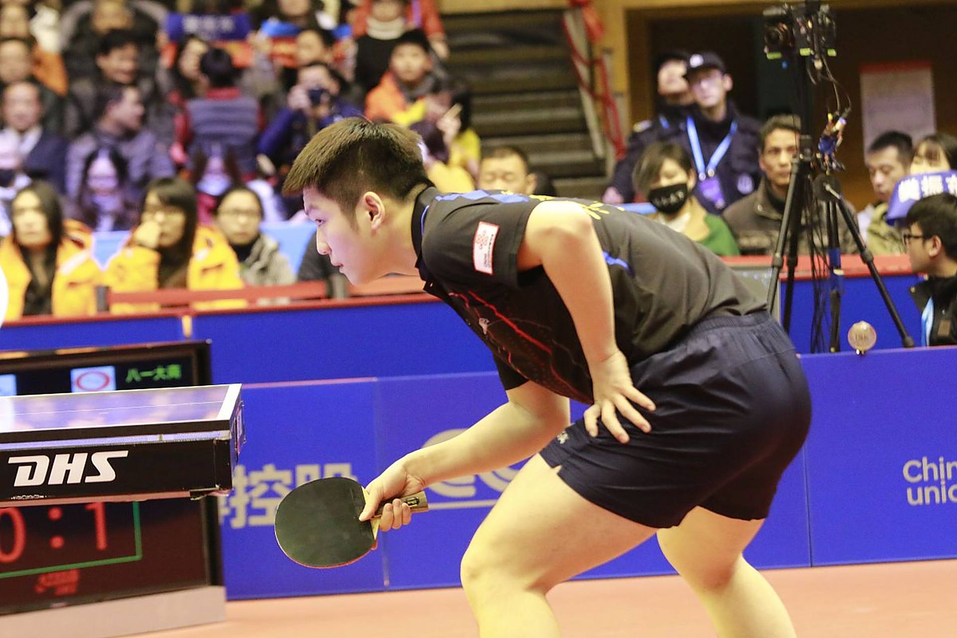 日本乒乓球队完胜法国乒乓球队,樊振东完成帽子戏法 日本乒乓球队完胜法国乒乓球队,樊振东完成帽子戏法