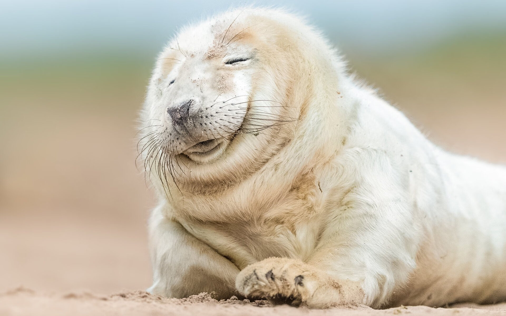 绝境斗牛士，当法比尼奥扛起整个西班牙，翻盘的血性与战术奇迹