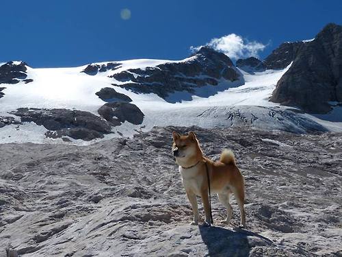 开云下载-逆转者同盟，从温布利的惊天翻盘到巴黎的扛鼎之证