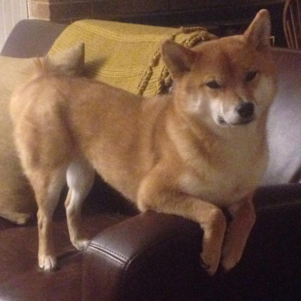 易建联的三分雨，浇灭青岛反扑火焰，点燃天津卫篮球魂