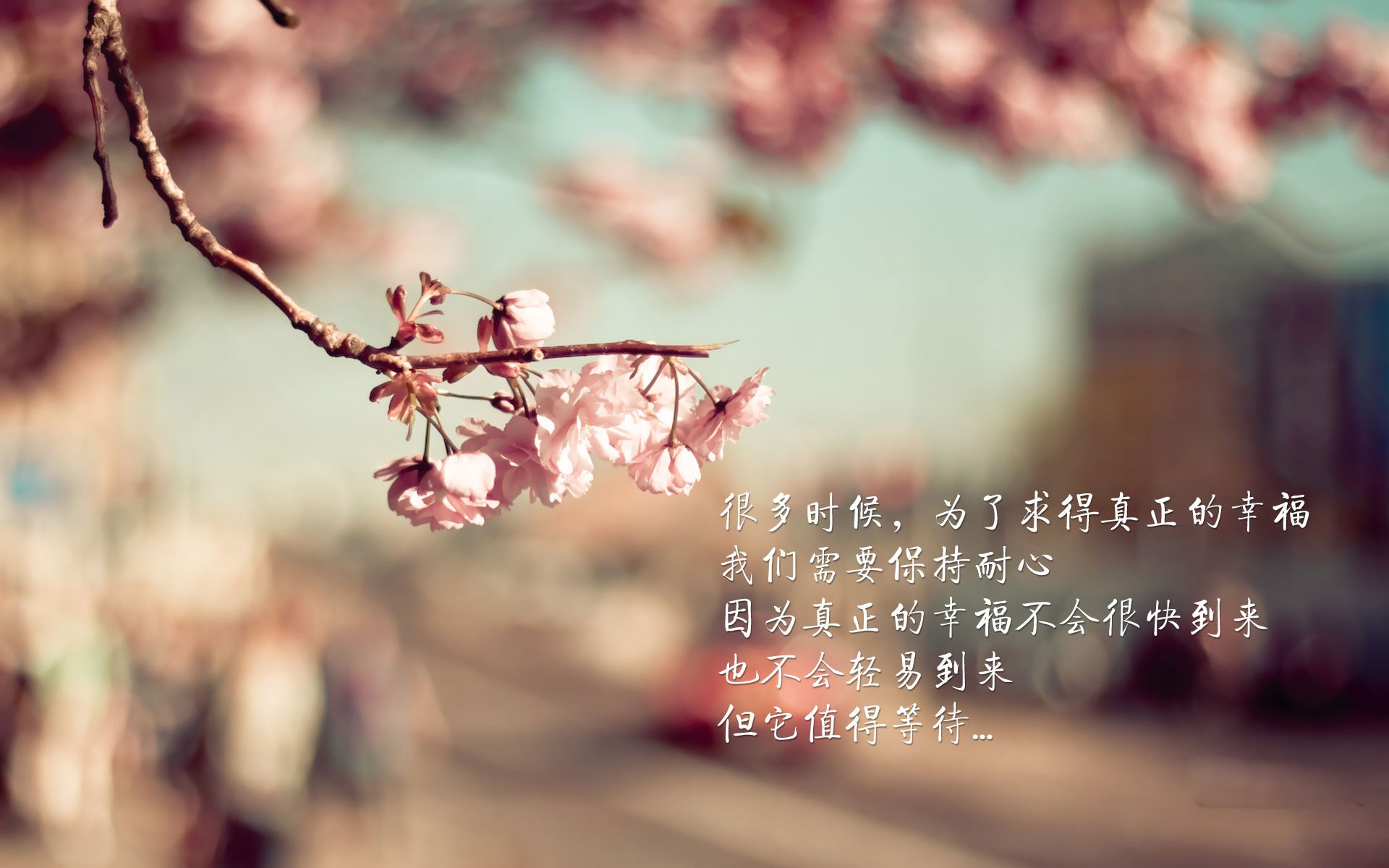 双线狂飙，迈凯伦的银箭风暴与周冠宇破壁之夜