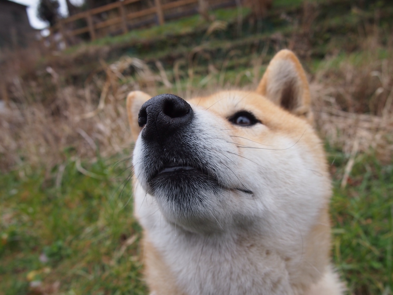 数据核爆!阿什拉夫全能统治赛场,罗马险胜毕尔巴鄂铸就争冠关键一胜