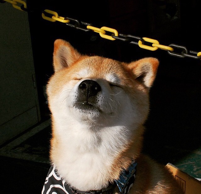 极寒火焰融化南法暖阳，巴雷拉的20分钟与冰岛足球的永恒答案