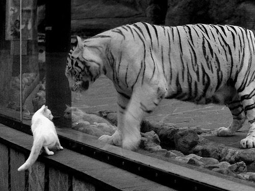 神圣的手与凡人的脚，苏亚雷斯那一掌，如何拍出梅西的封神之路？