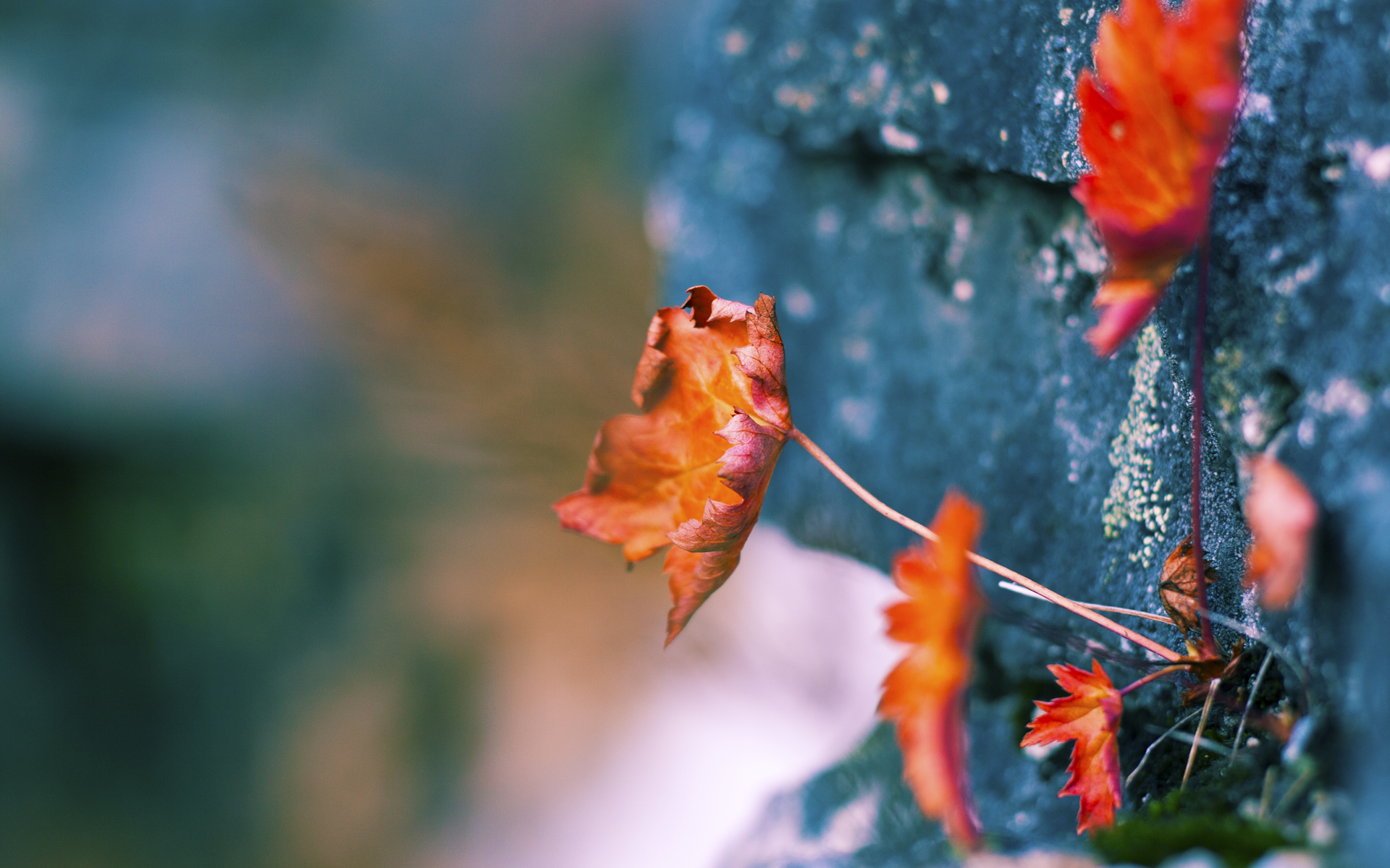 正名之战，杰伦·格林在步行者对阵灰熊的焦点战中证明自我