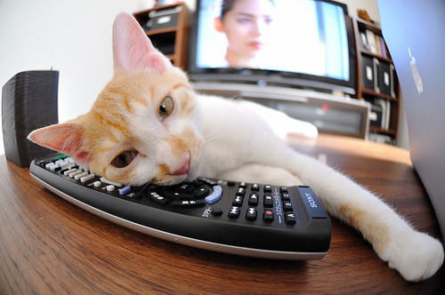 三分线外与绿茵场，竞技本质的唯一性解码