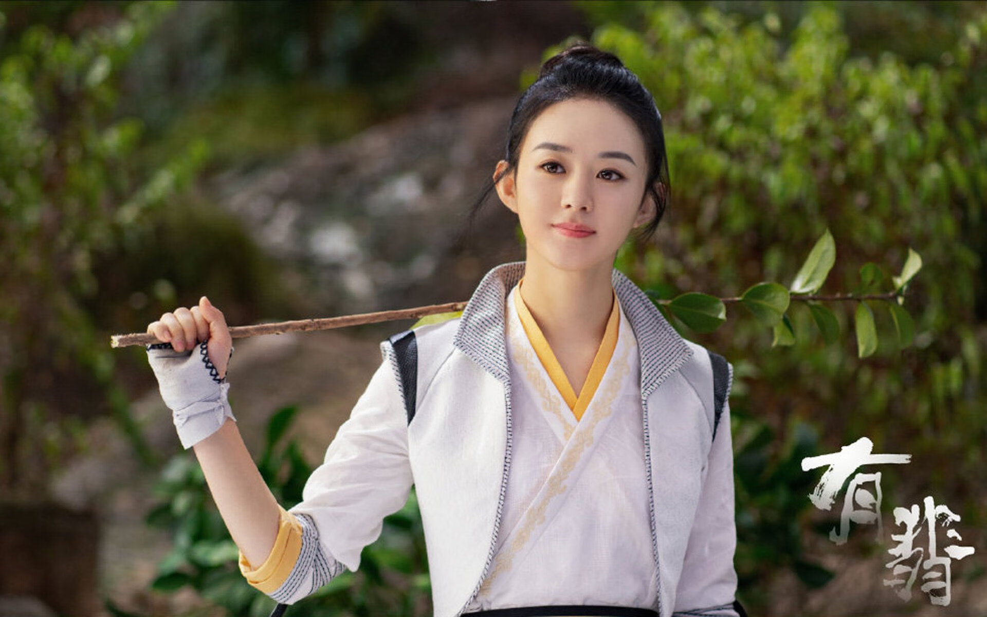 当猛龙遇见长城，霍勒迪的五十星之夜