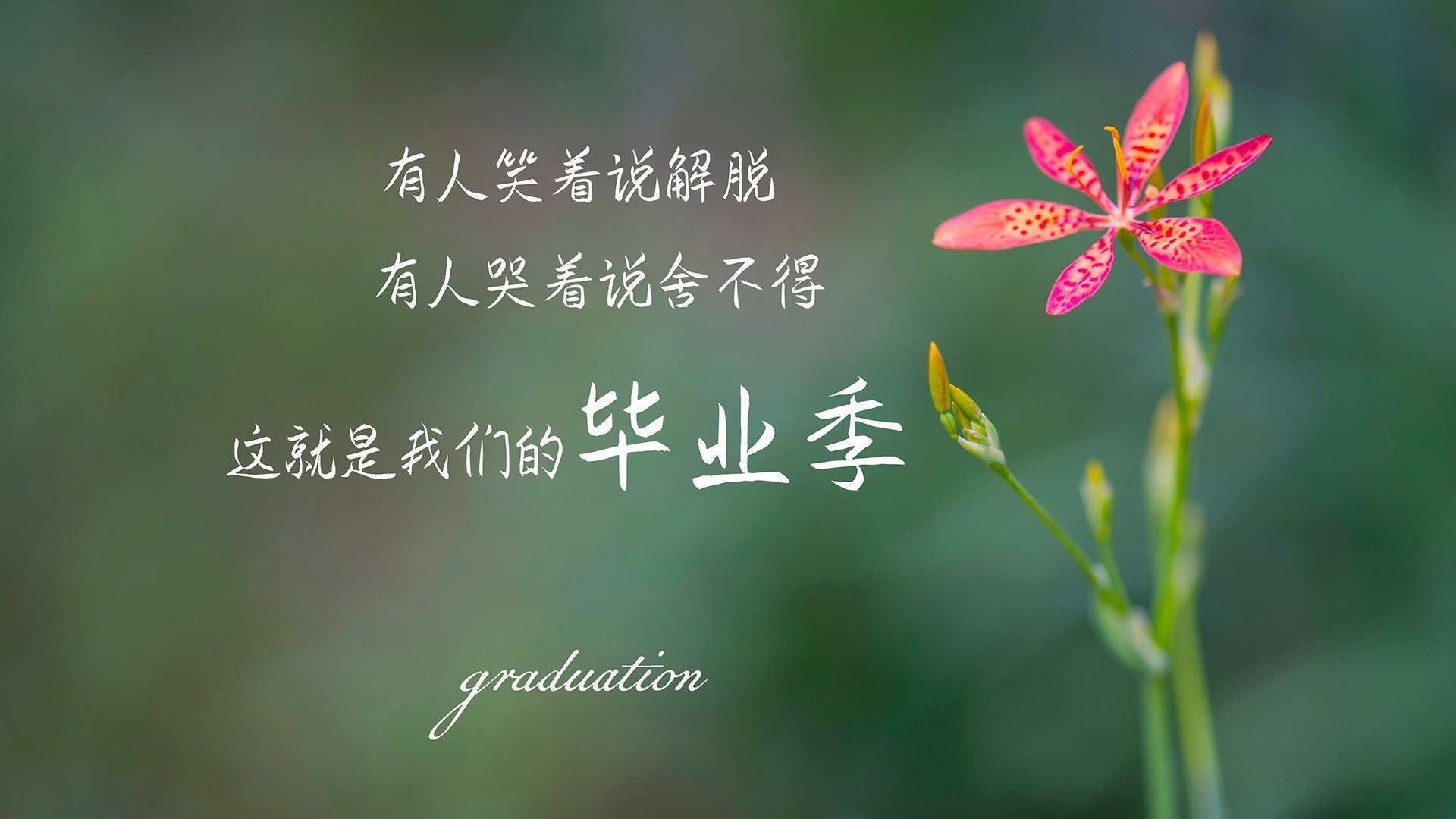 满分十分，我给十一分，爱德华兹与国王的极致答卷