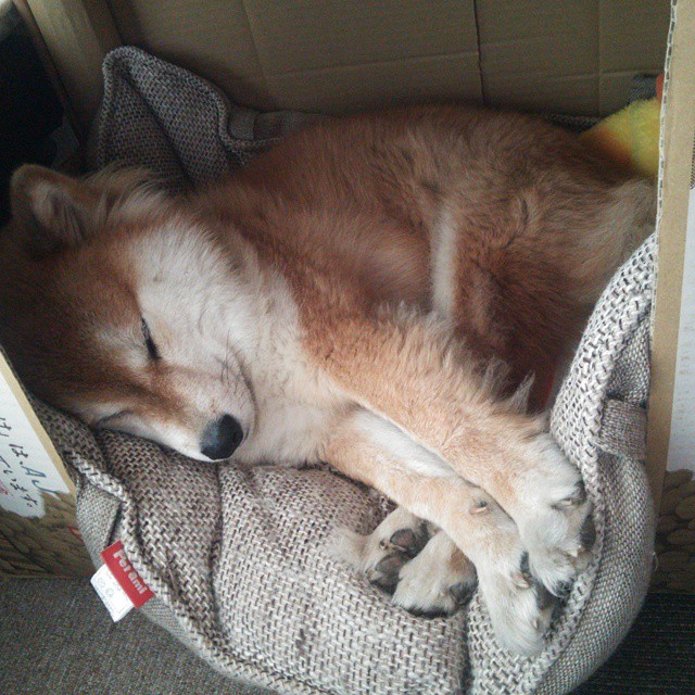 禁区天神筑金刚壁垒,切特一夫当关粉碎浙江王朝梦