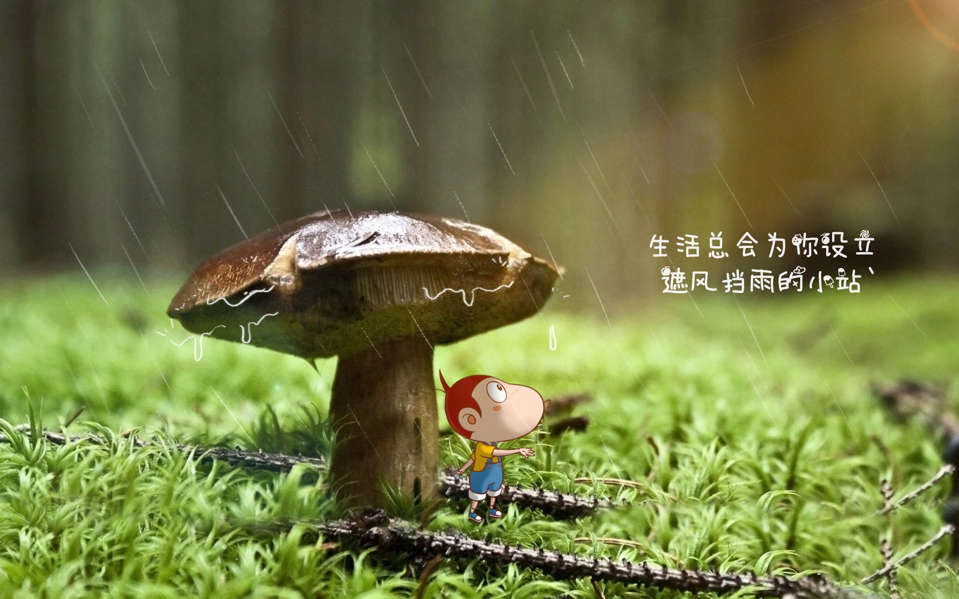 千锤百炼铸锋芒,2026世界杯焦点战,突尼斯防守反击战术横扫阿联酋,费利克斯独耀全场