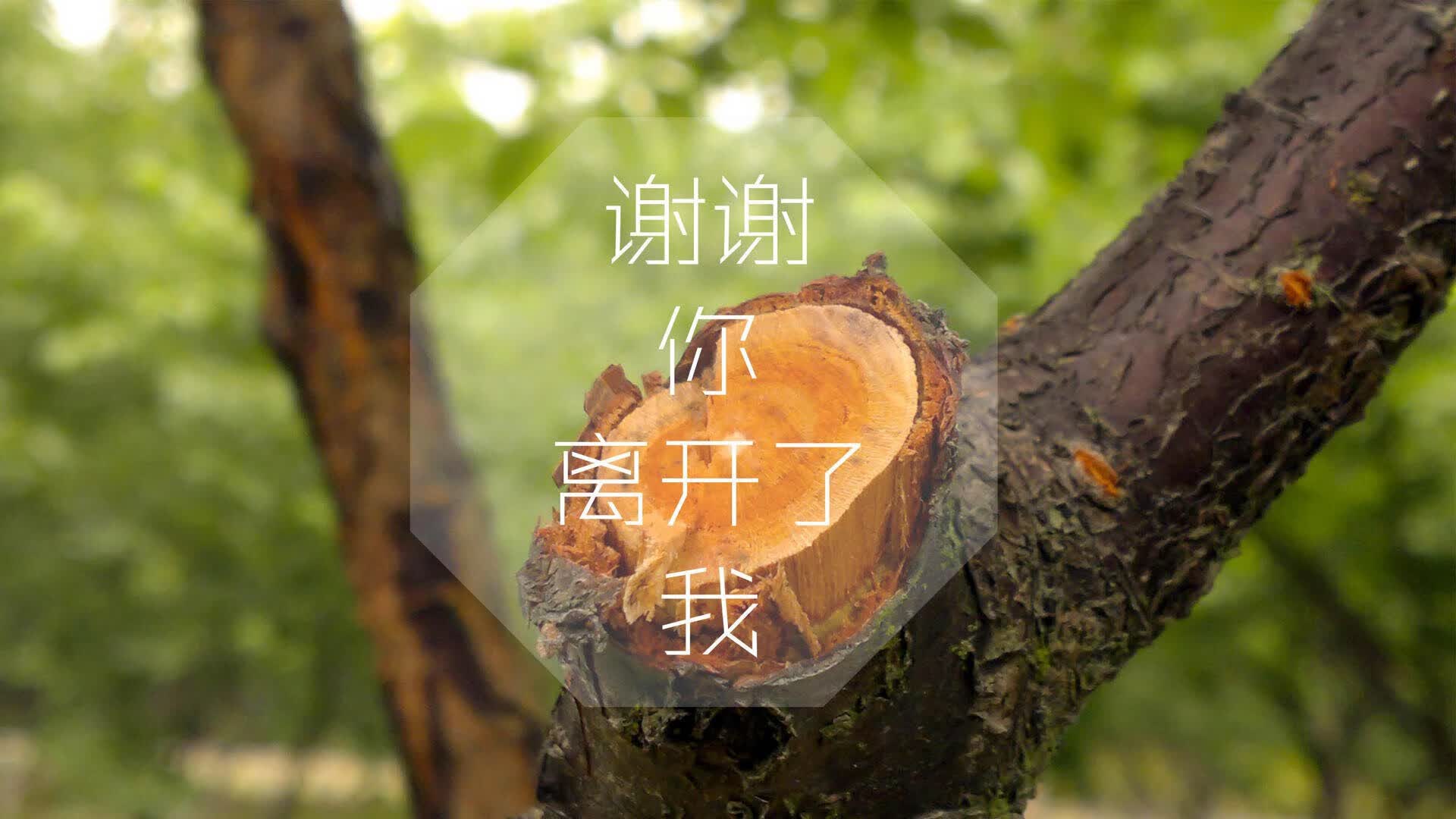 逆转乾坤，2026世界杯D组焦点战，梅西掌舵葡萄牙绝境重生